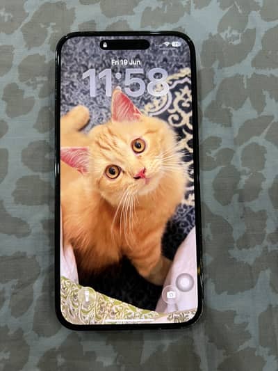 Apple iPhone 14 Pro Max