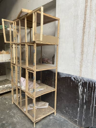 Birds cage