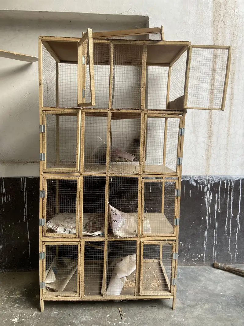 Birds cage — photo 4