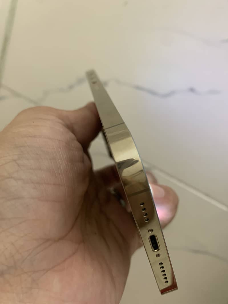 Apple iPhone 13 Pro Max 1