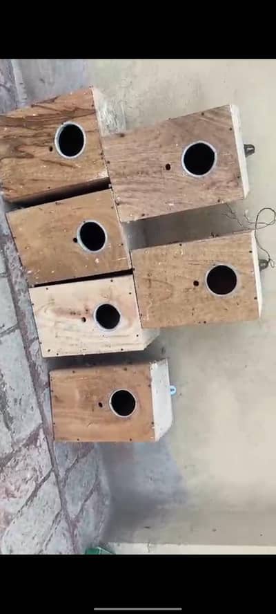 6 Birds breeding box for sale