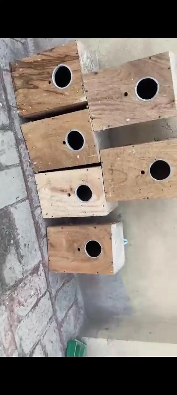 6 Birds breeding box for sale — photo 2