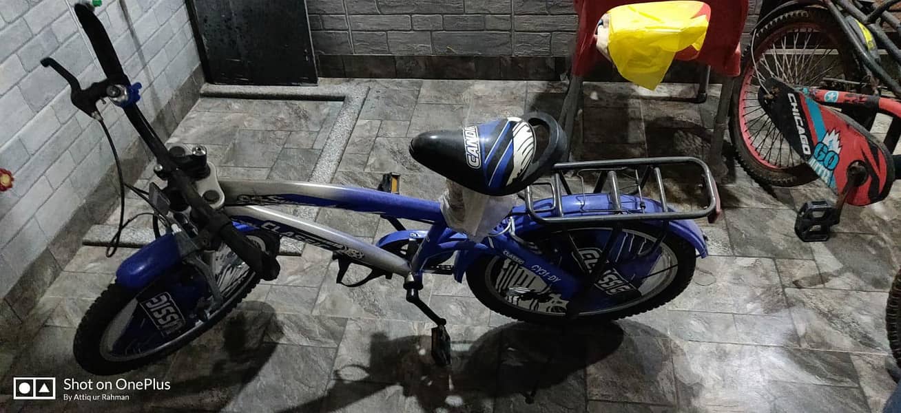 bicycle 2