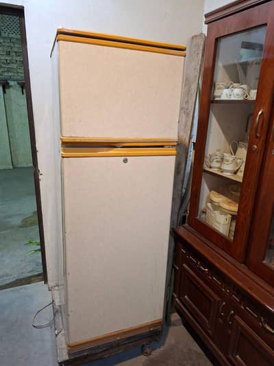 Company Waves 2 Doors