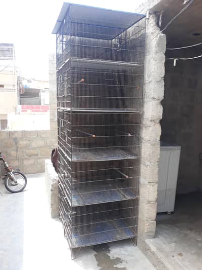 Iron cage 03212889199