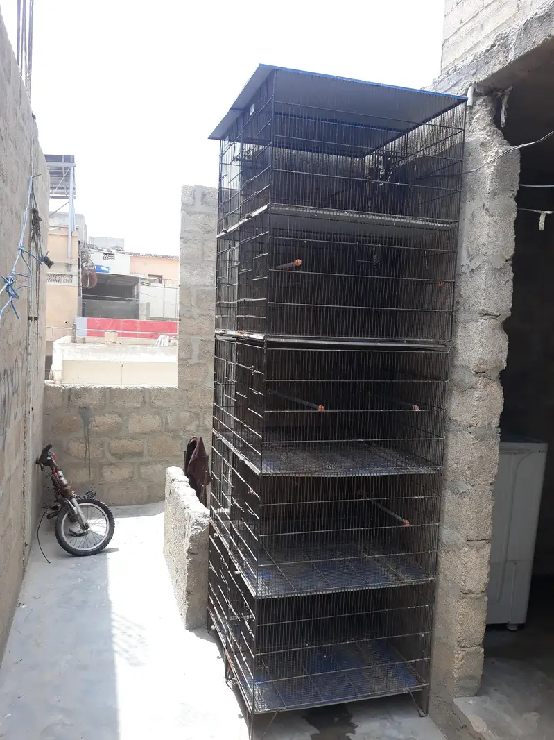 Iron cage 03212889199 — photo 2
