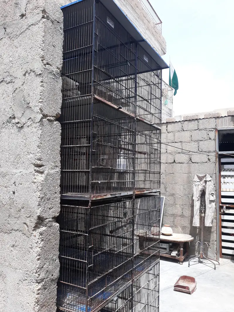 Iron cage 03212889199 — photo 3
