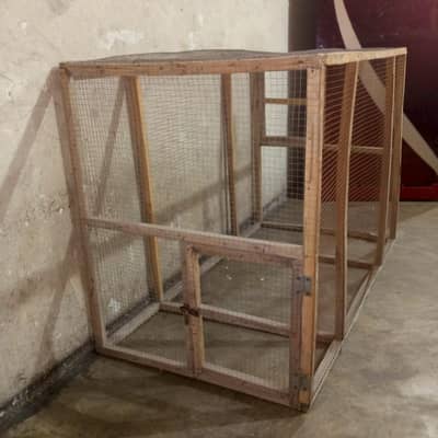 Aseel, Hen, Parrot All Type Of Birds Cage