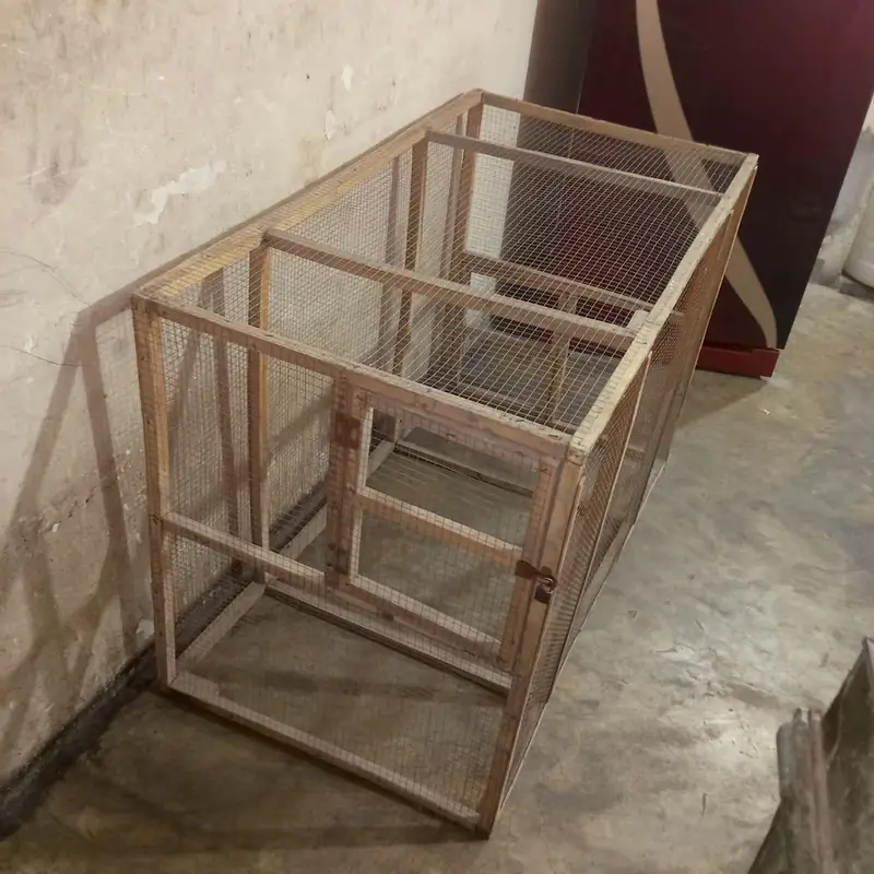 Aseel, Hen, Parrot All Type Of Birds Cage — photo 4