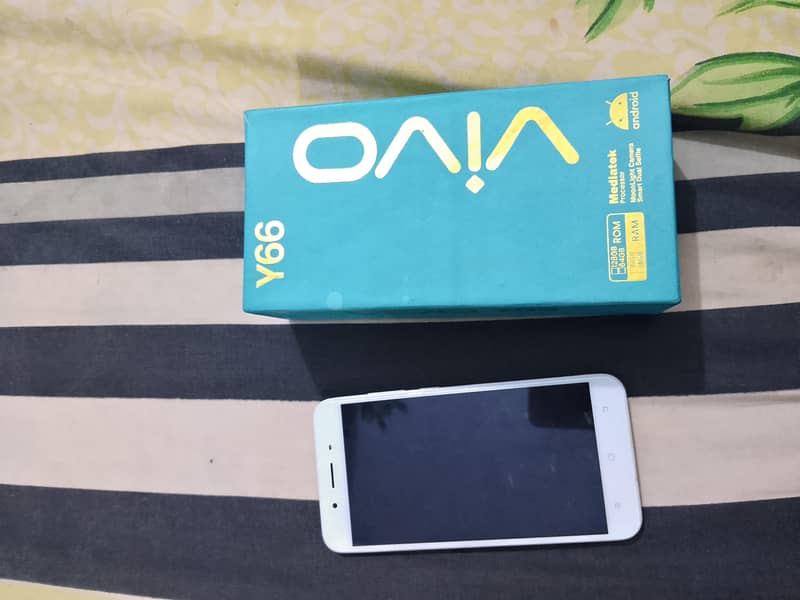 Vivo Y66 0