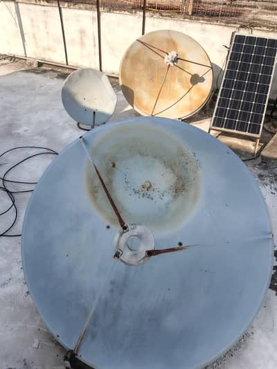 tiger t6 with 2 dish 4 feet top quality