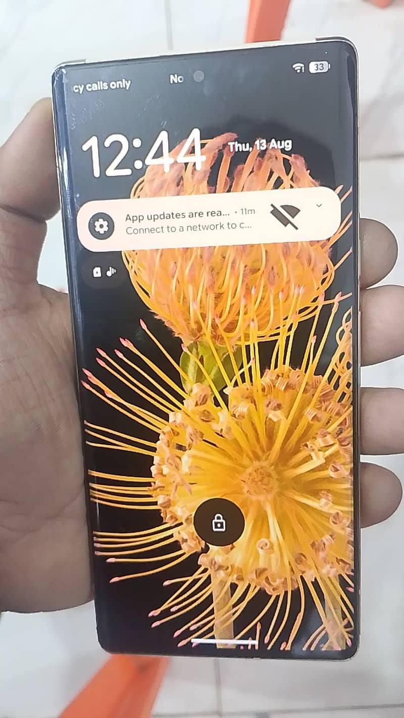 Google Pixel 6 Pro 2