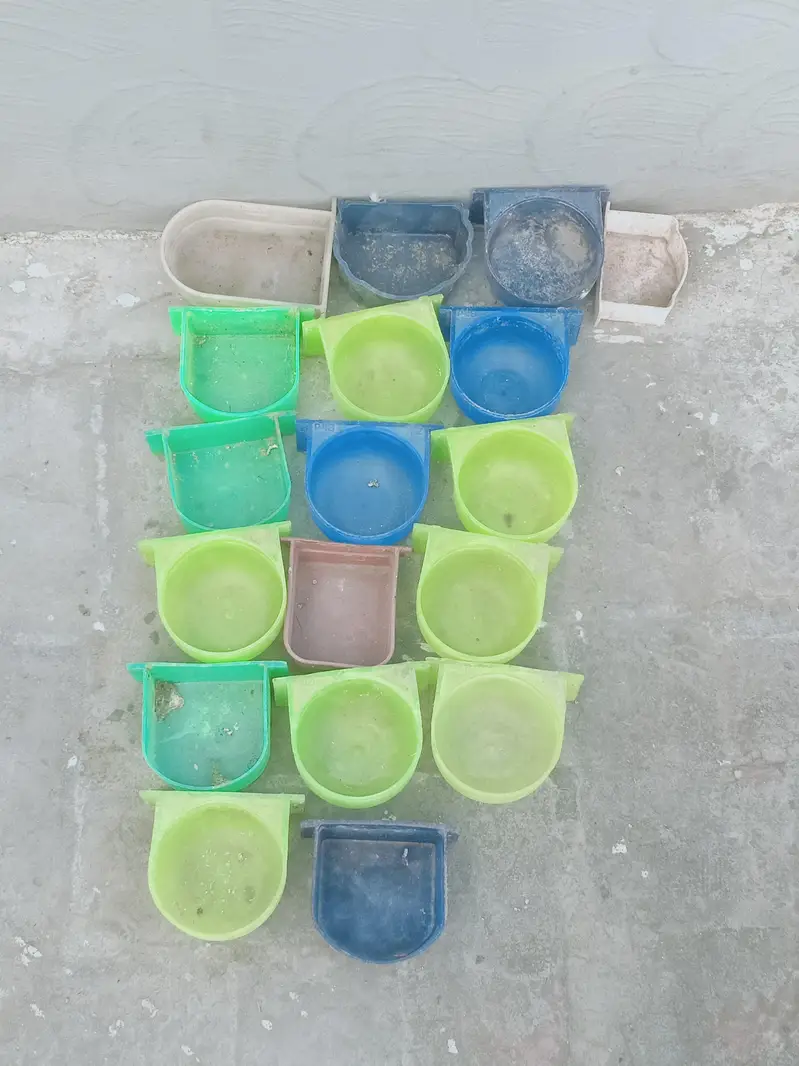 Birds feeder and water ports/ Exchange possible — photo 2
