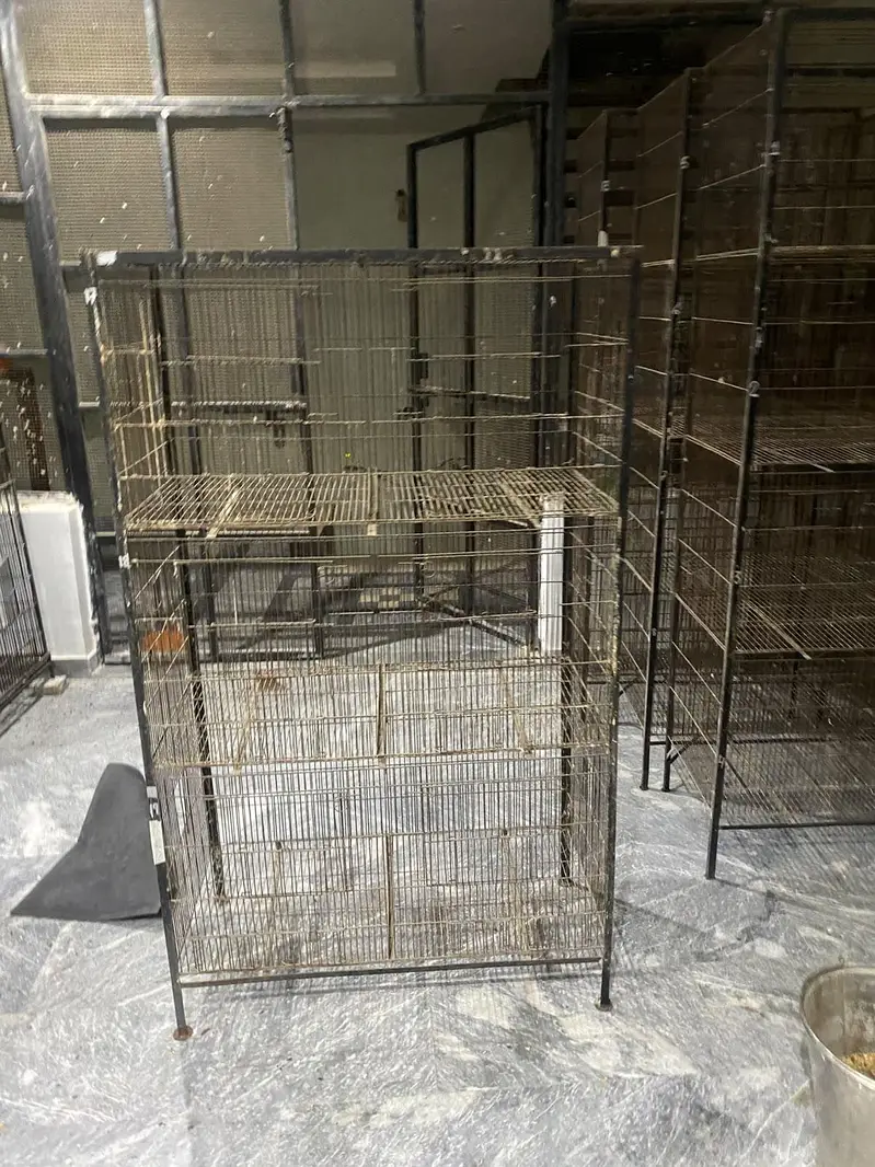 cages for sales — photo 2
