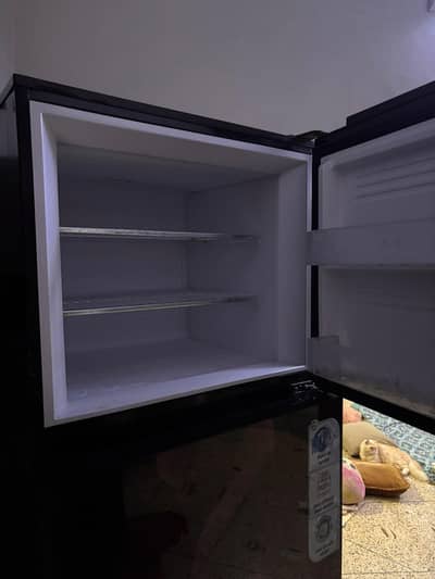 pel fridge xl size