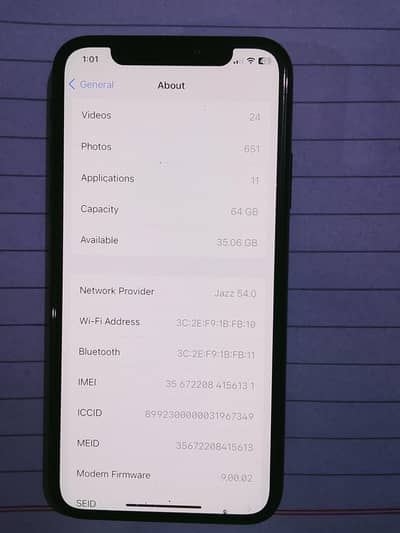Apple iPhone X