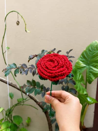 premium crochet flower | handmade | Gifts