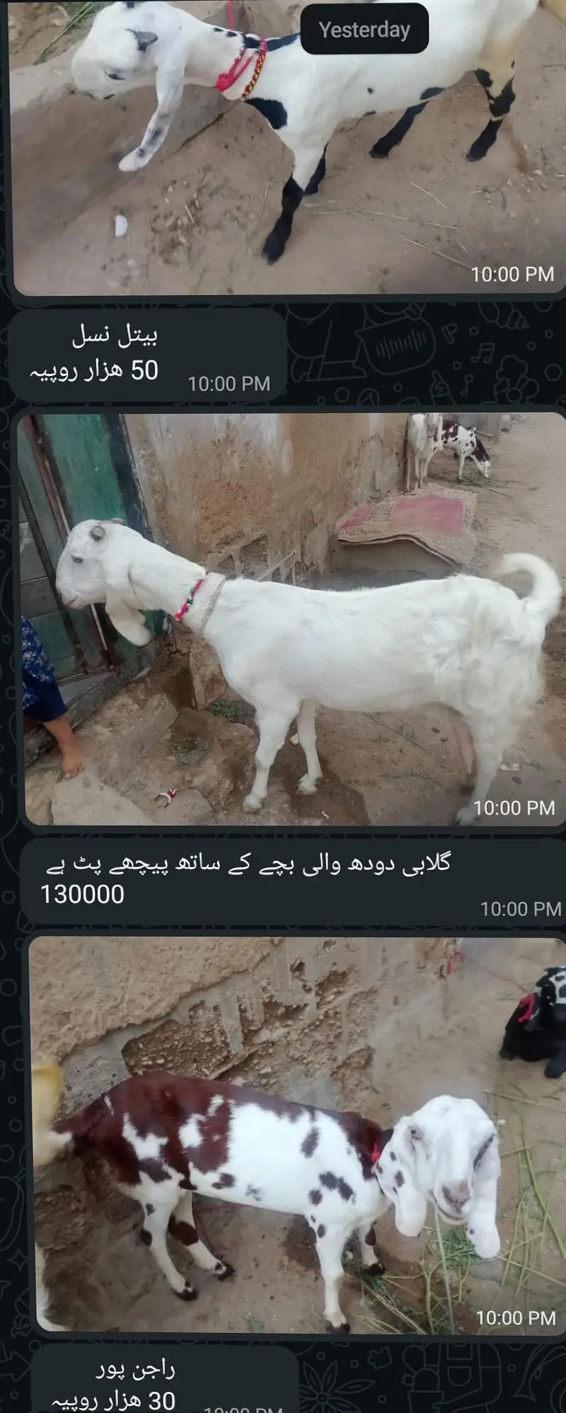 picture Mai pori detail likh hue hai 03152631643 ya number on hai — photo 2