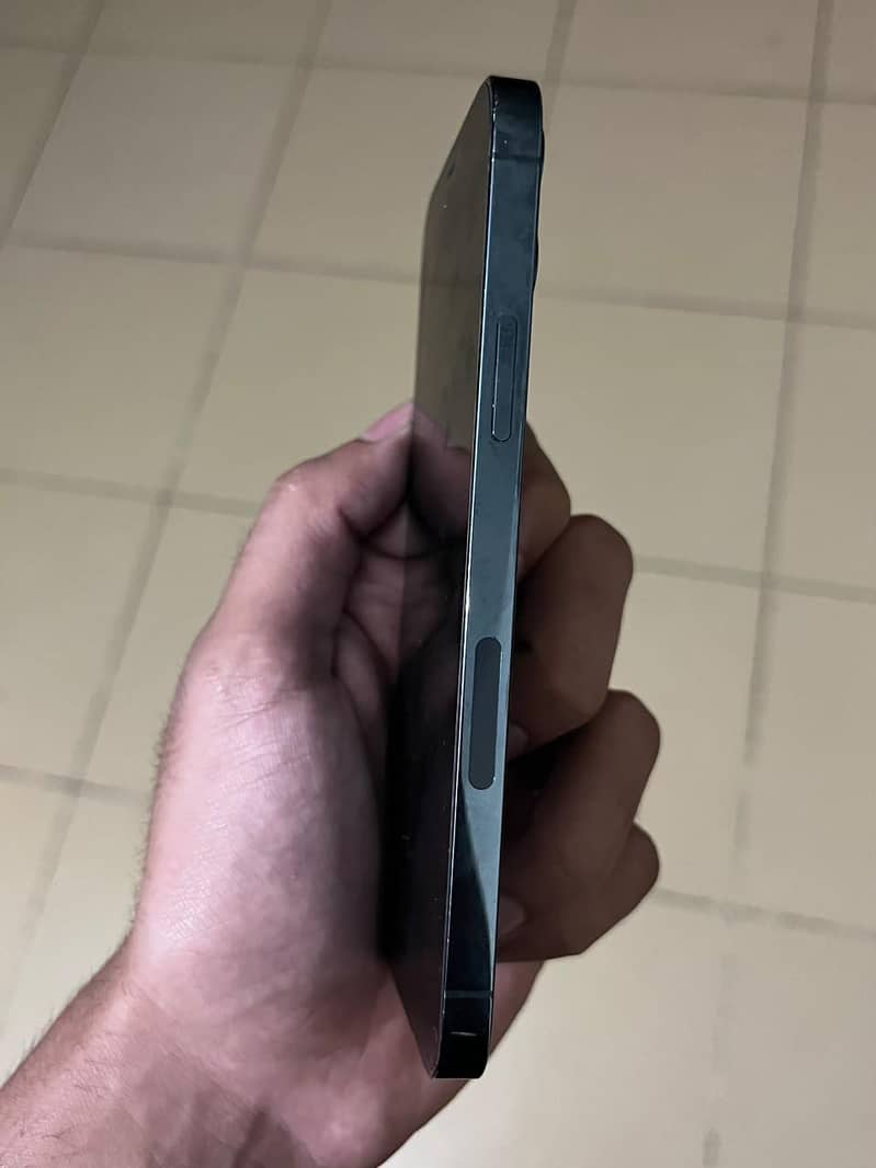 Apple iPhone 12 Pro 89 health waterpack 4