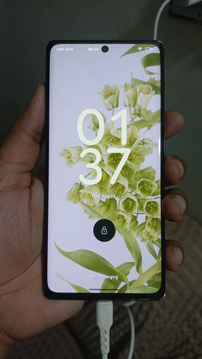 Google Pixel 6 Pro 1