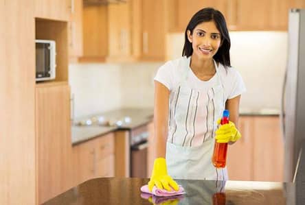 Female Housework For Home