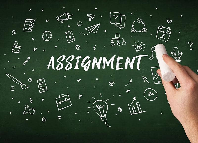 professional assignment writing 1