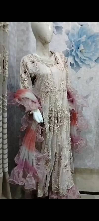 net cut Dana 2 maxi . . .