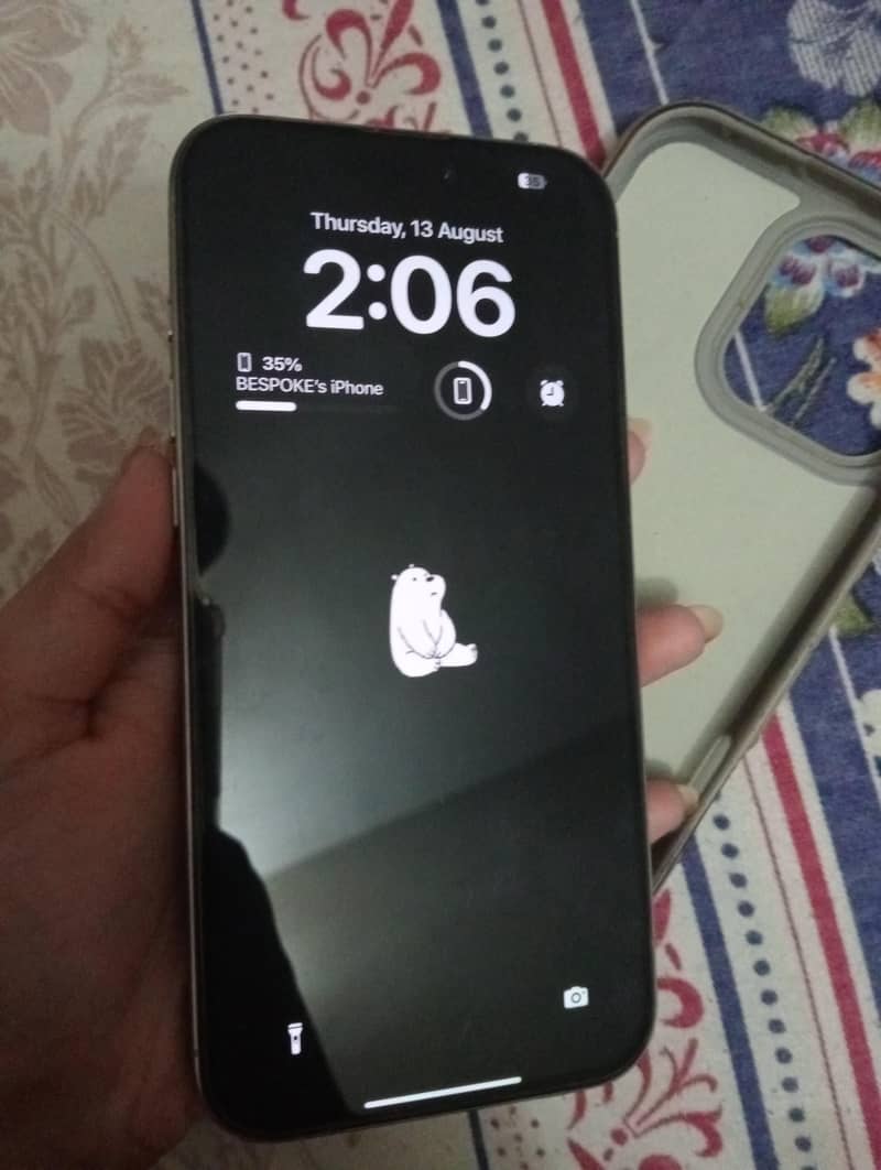 Apple iPhone 16 Pro Max 1
