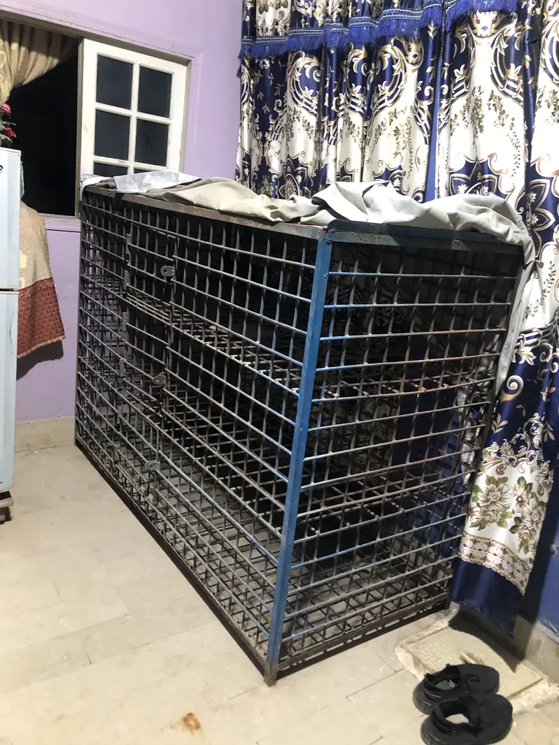 Hen cage