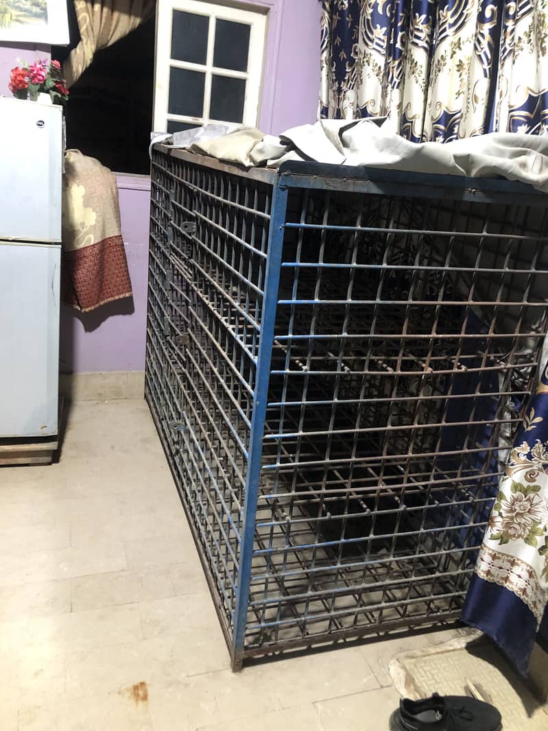 Hen cage 1