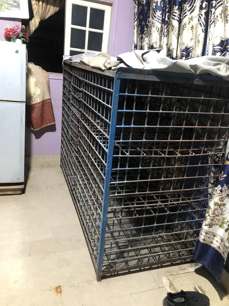 Hen cage — photo 2