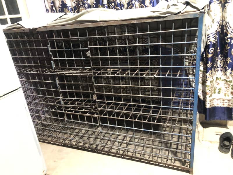 Hen cage 2