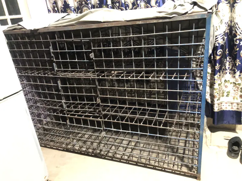 Hen cage — photo 3