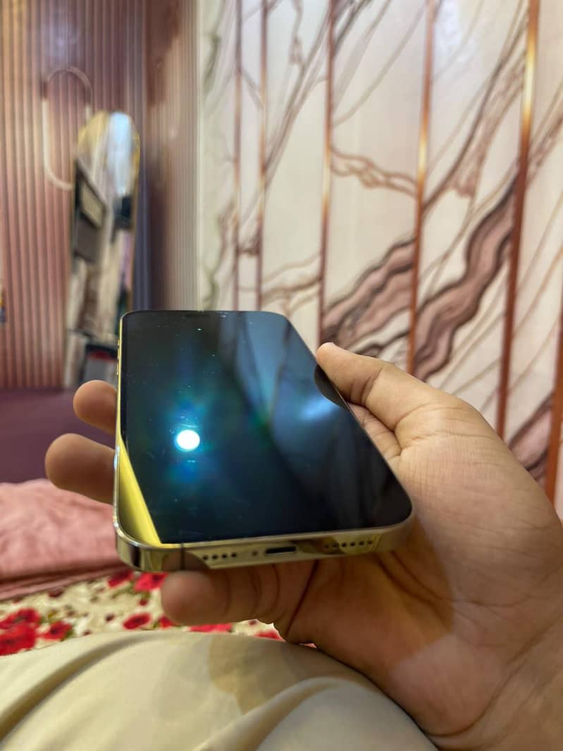 IPhone 14 pro max 4