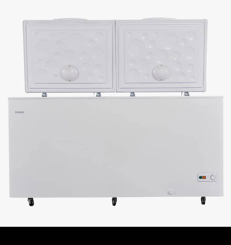 Dee freezer 1