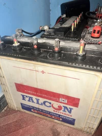 Two tubular battery with good backup