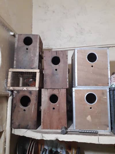 3 Austrelian baredar pear and 1 folding cage