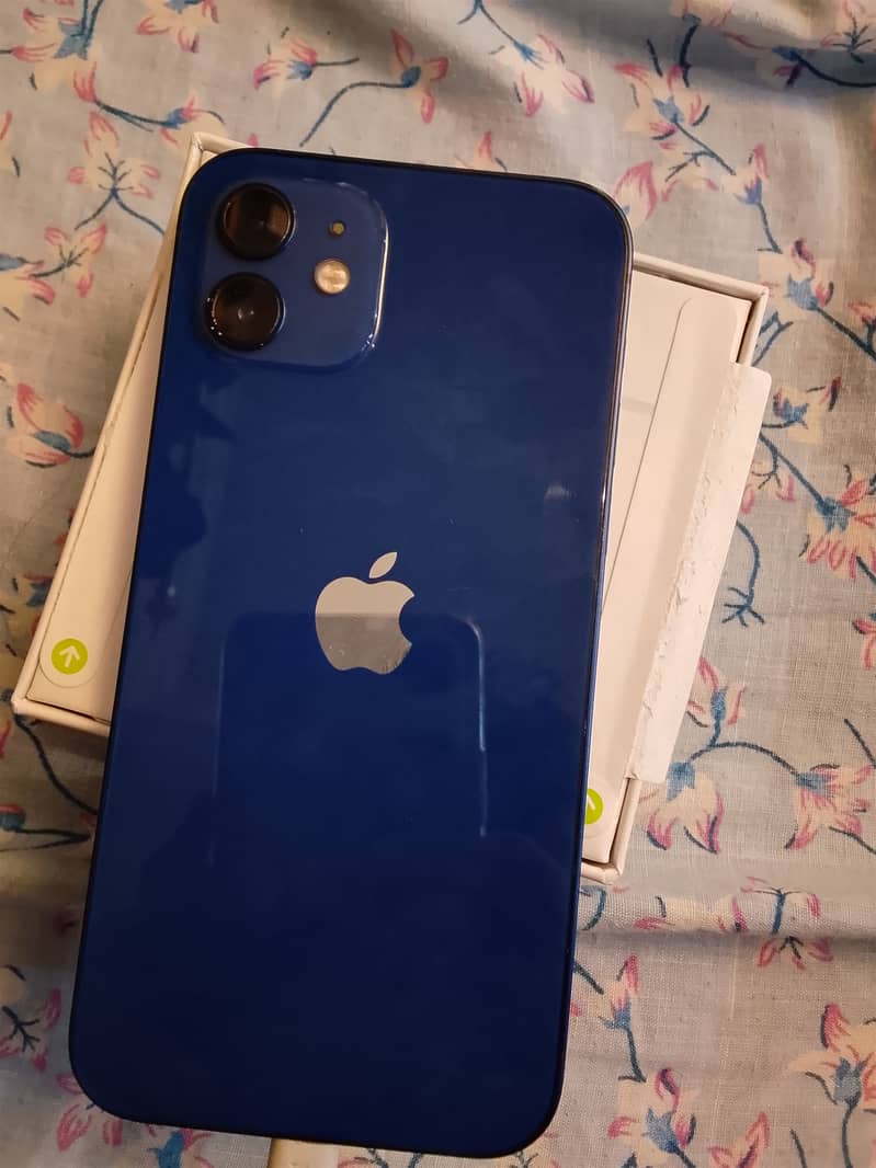 Apple iPhone 12 1