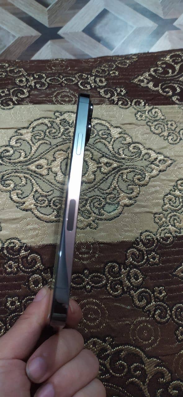 Apple iPhone 13 Pro Max 1
