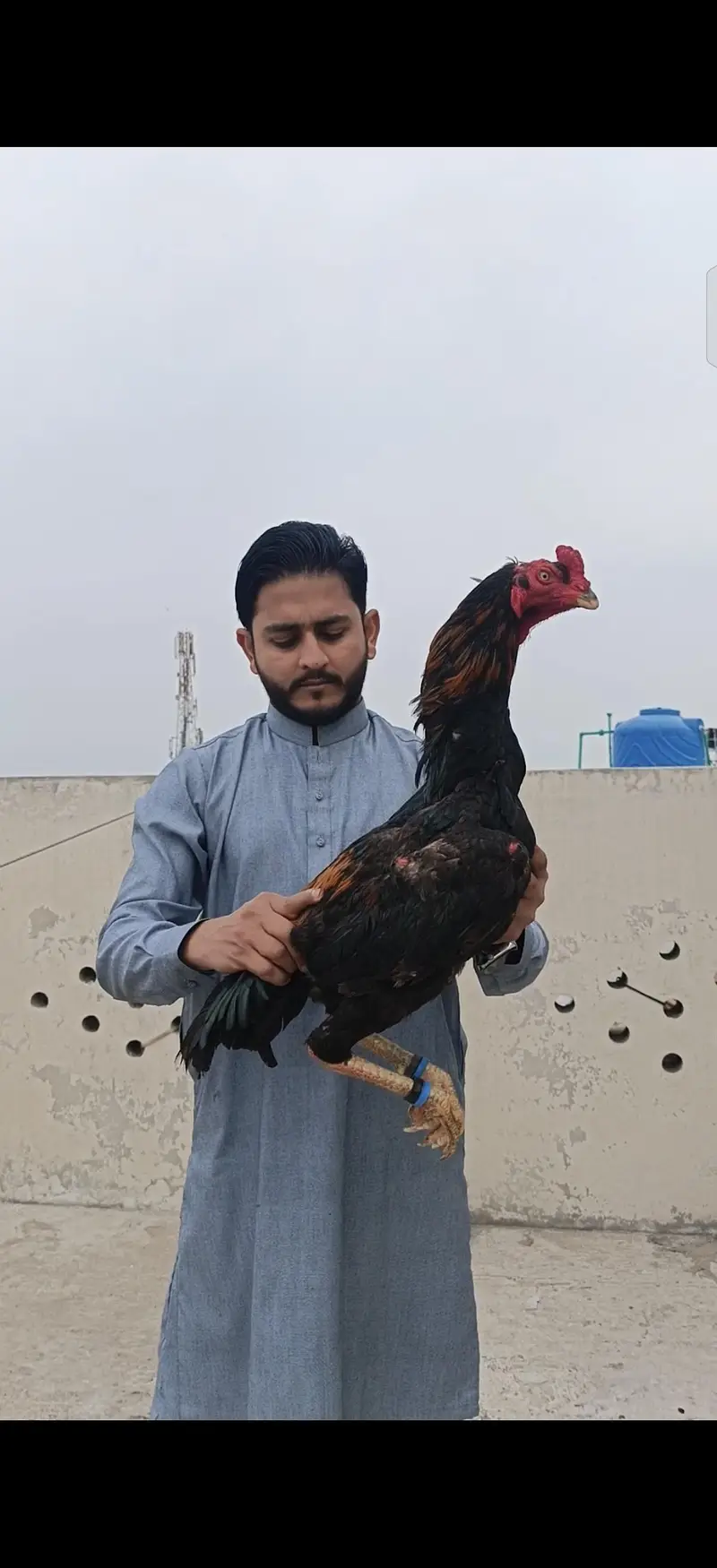 Shamoo 03224727702 What's app — photo 3