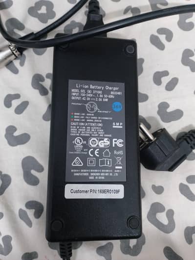 lithium iron battery charger