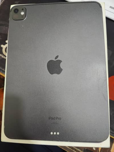 ipad m4 11" (11 inches) 256 gb with box charger