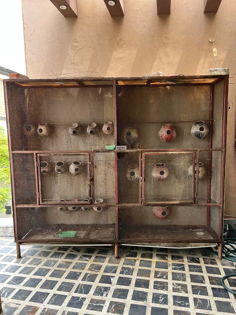 Cages — photo 2