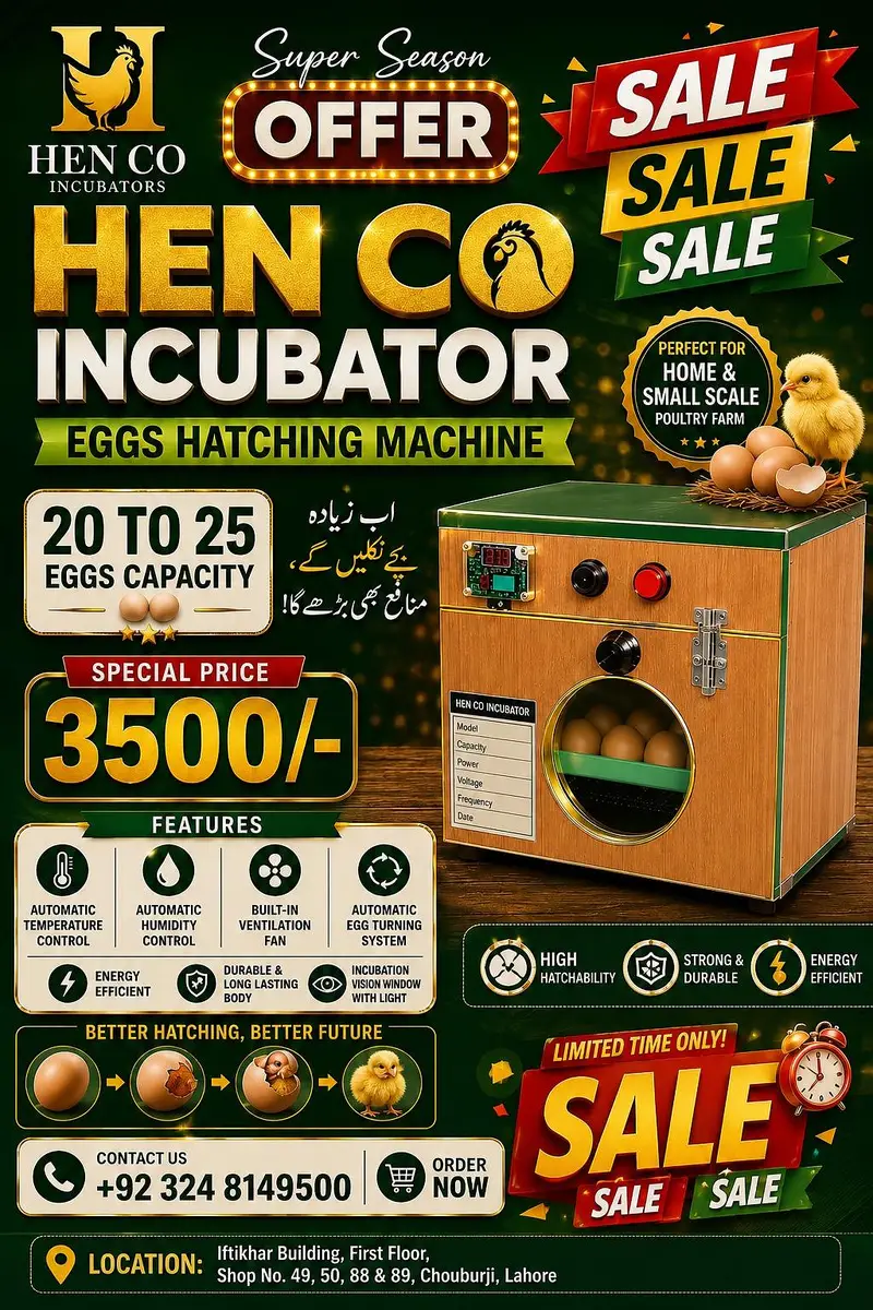 Incubators ,Brooders ,hatchery, spareparts and repairing center — photo 4
