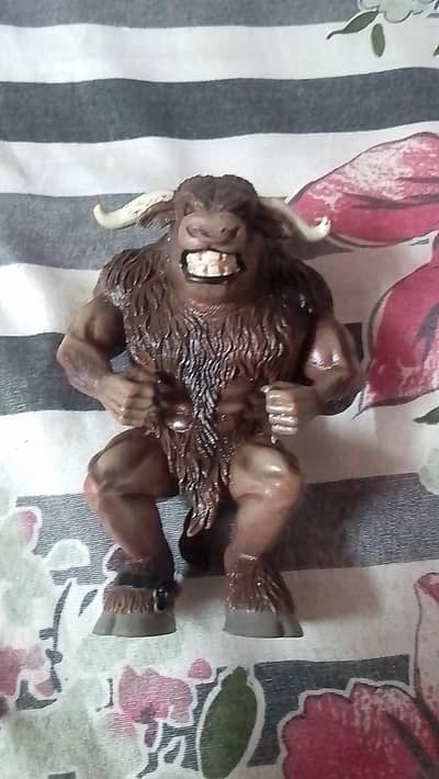 wrestler character