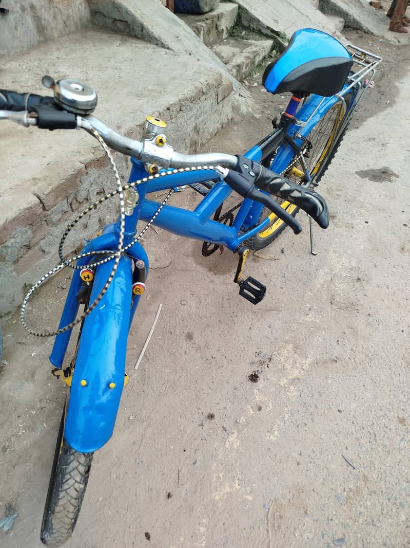 Cycle 5