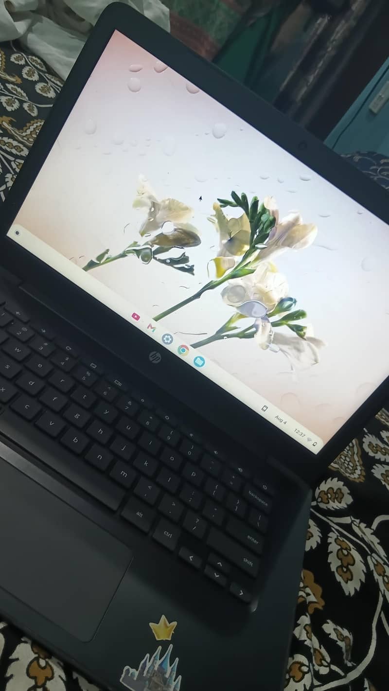 Chrome book 0