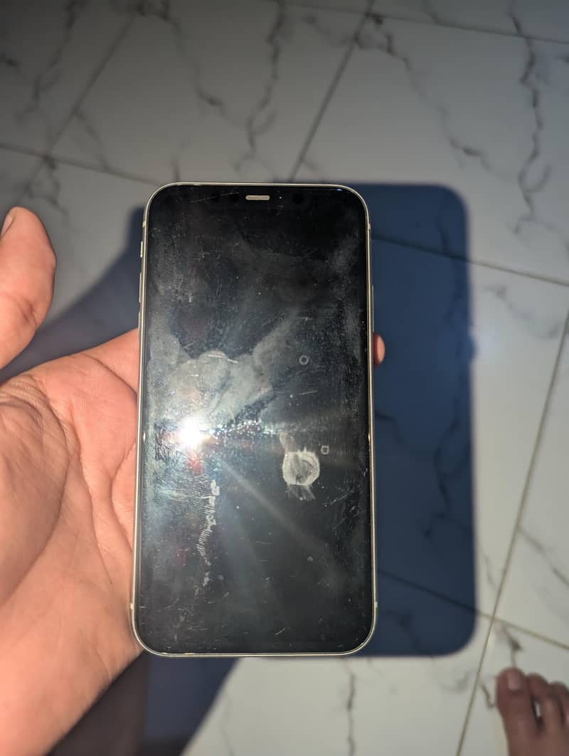 Apple iPhone 11 5