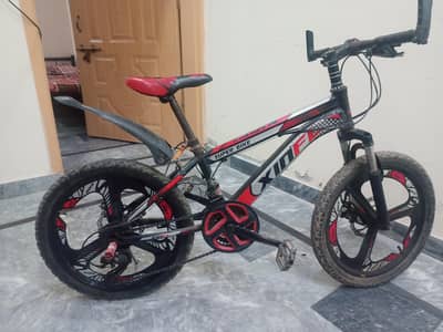 Xinfl bicycle