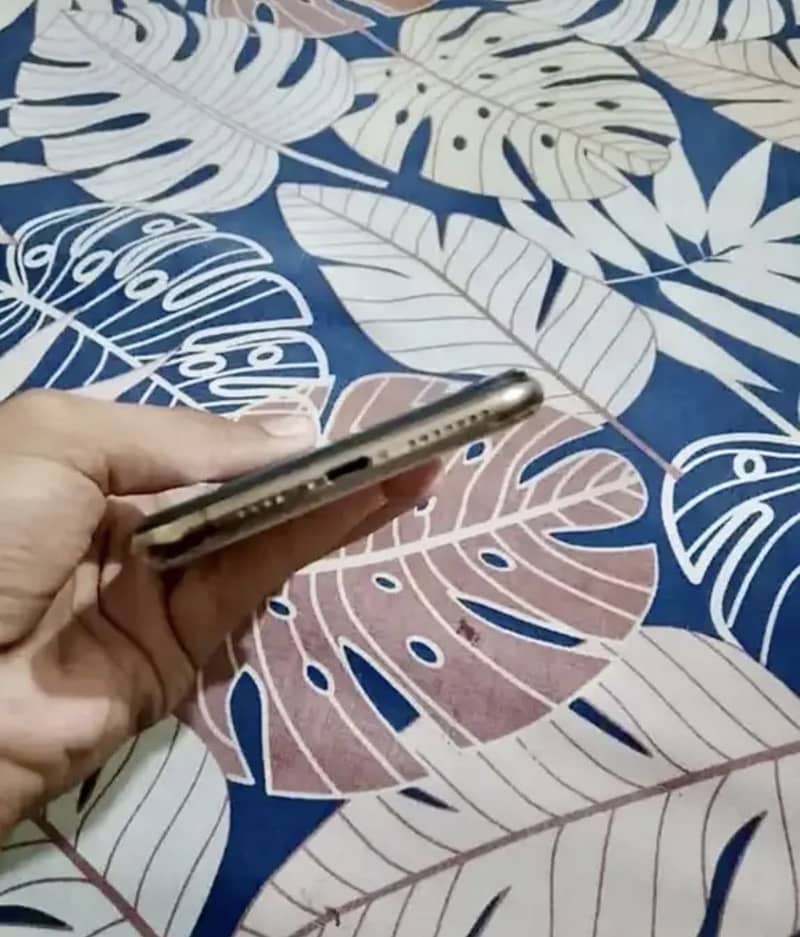 Apple iPhone 11 Pro Max 2